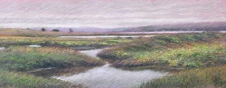 Limantour Marsh