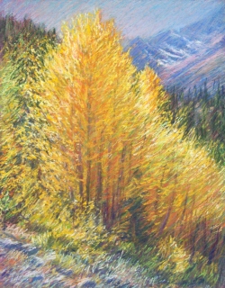 Flaming Aspens, Bishop Canyon