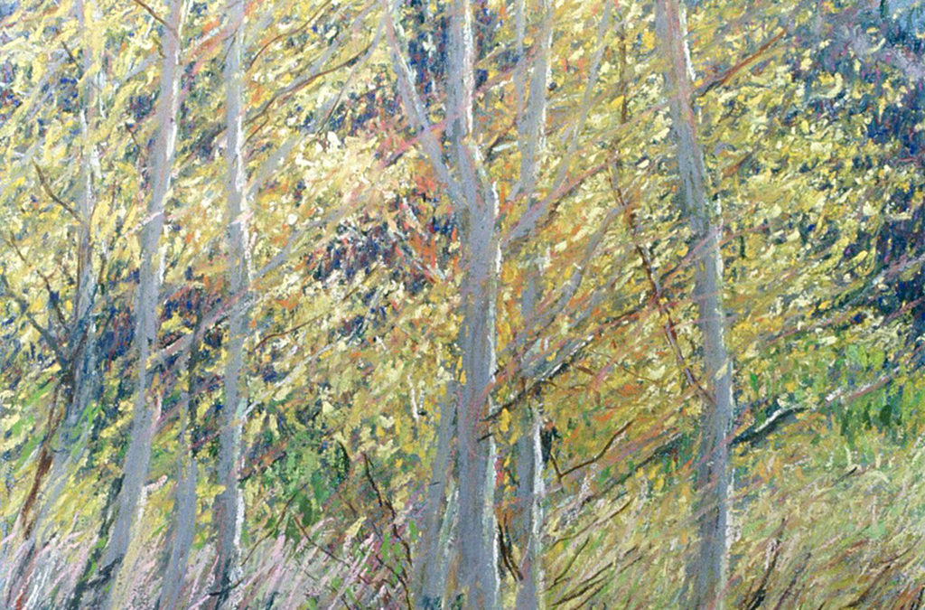 Aspens Bishop